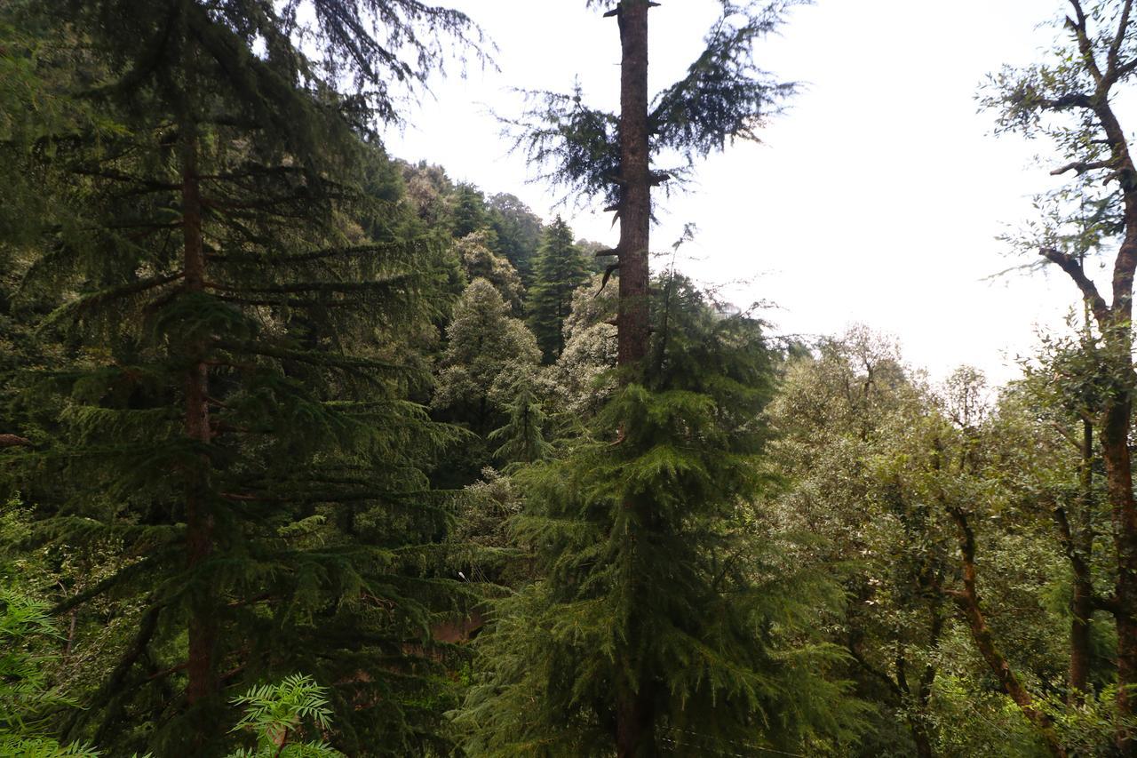 Vilasa Lall Ji Resort Dalhousie Exterior photo